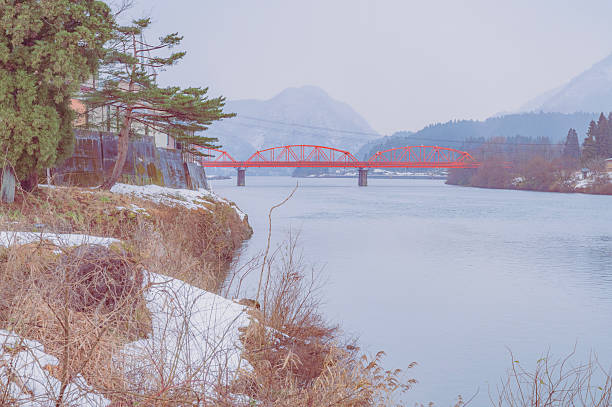 The Odo Dam Bridge, a striking single suspension bridge, gracefully spans a verdant gorge in Moriyama, Niyodogawa, Agawa District, Kochi Prefecture, Japan.