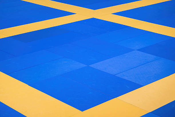 Blurred Motion Of Wrestlers Fighting In Health Club