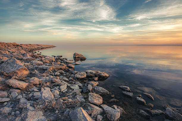 The shore of the Salton Sea in California.