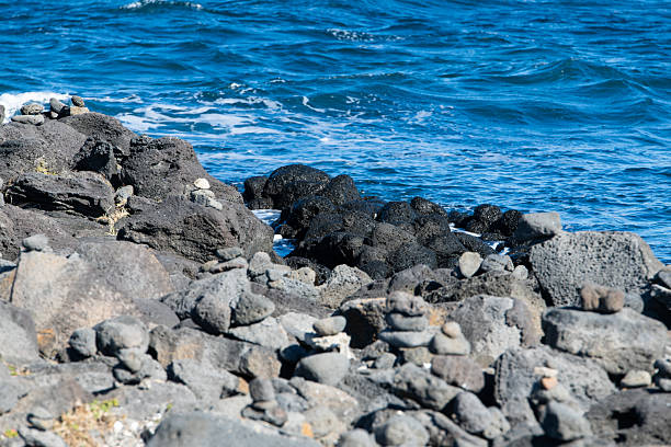idyllic seascape at Udo in Jeju Island, South Korea