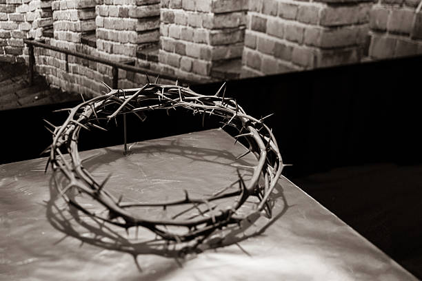 Crown of thorns, in monochrome black and white.