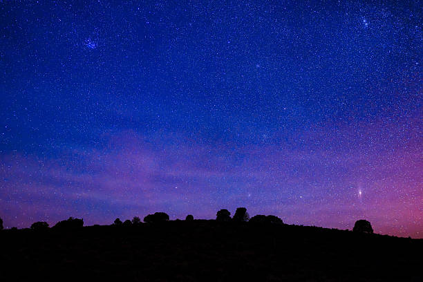 Night astro landscape with silhouetted trees on hill up against crisp sky full of stars and faint aurora glow. With balanced composition and copy space.