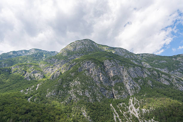 Mountains and forest, Triglav National Park, Julian Alps