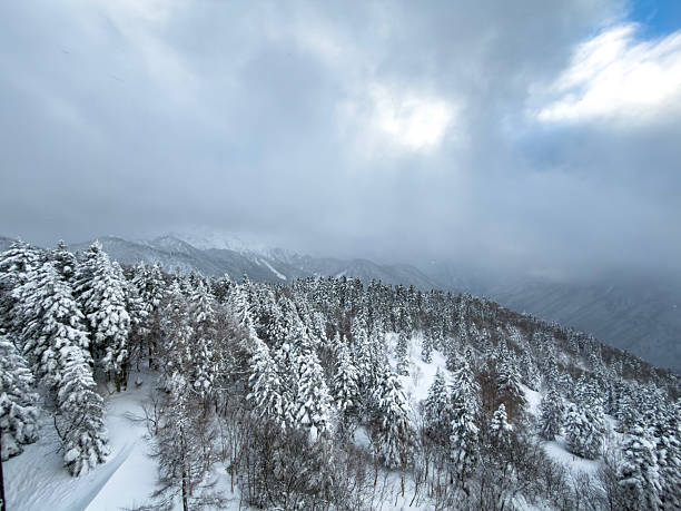 Japan Landscape