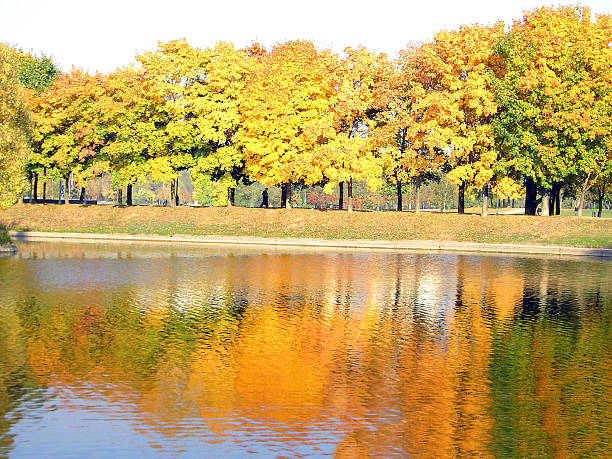 autumn in city park at october