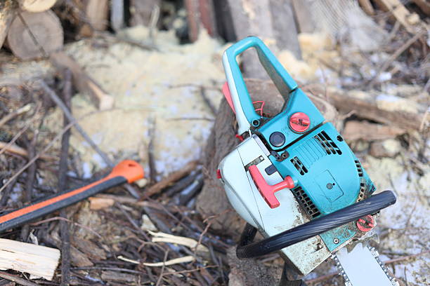 Fuel motorized used Chainsaw rural area green color