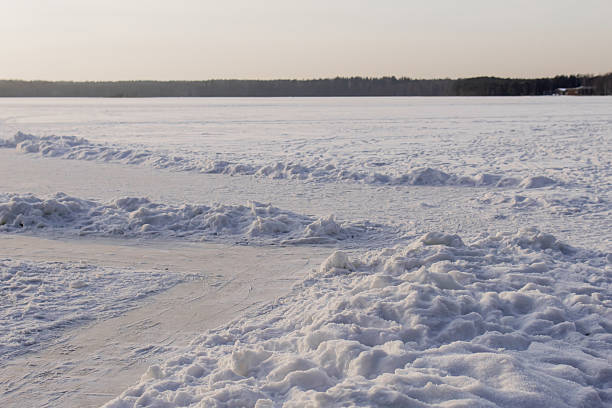 Snow-covered frozen lake surface with snowdrift patterns and forest treeline on horizon in serene winter landscape at dusk light