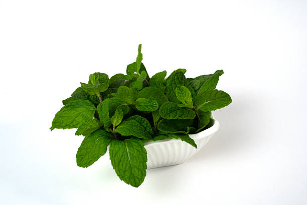 Fresh green mint leaves isolated on white background. Concept of herbal medicine, detox drinks and healthy lifestyle.