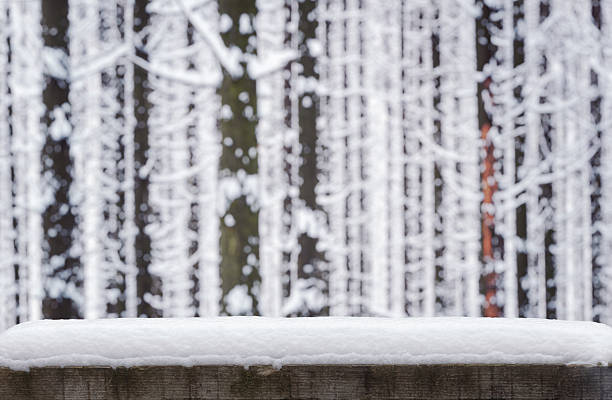 A snow hat on a rustic wooden table in front of a winter spruce forest.