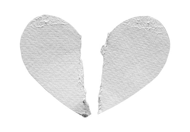 Torn white paper heart broken into two pieces, isolated on white background. with clipping path