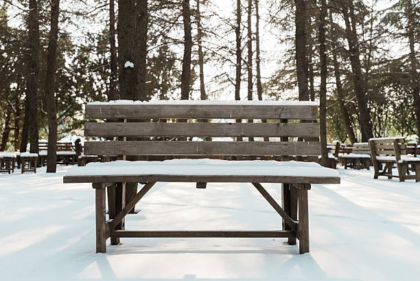 A wooden bench is covered in snow and is empty. The scene is quiet and peaceful, with the snow covering the ground and the trees in the background. The bench is a simple yet elegant piece of furniture
