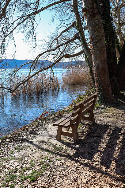 A wooden bench is positioned along the edge of Lake Orestiada in Kastoria, Greece, surrounded by fallen leaves and reeds swaying in the blue water.