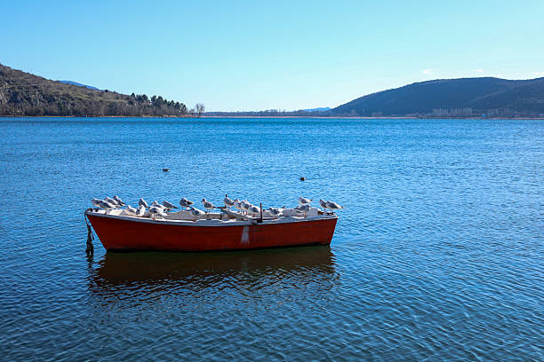 Seagulls gather on a moored red boat under a clear blue sky, floating gently on the quiet waters of a Greek lake.