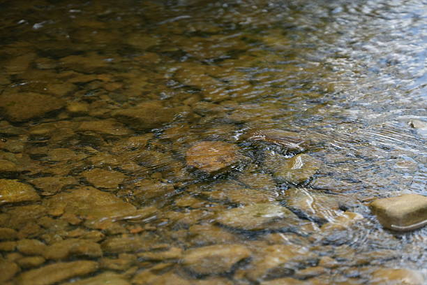 Water flows gently over smooth stones in a shallow river. Sunlight reflects off the surface creating ripples. It is a bright day in the outdoors.