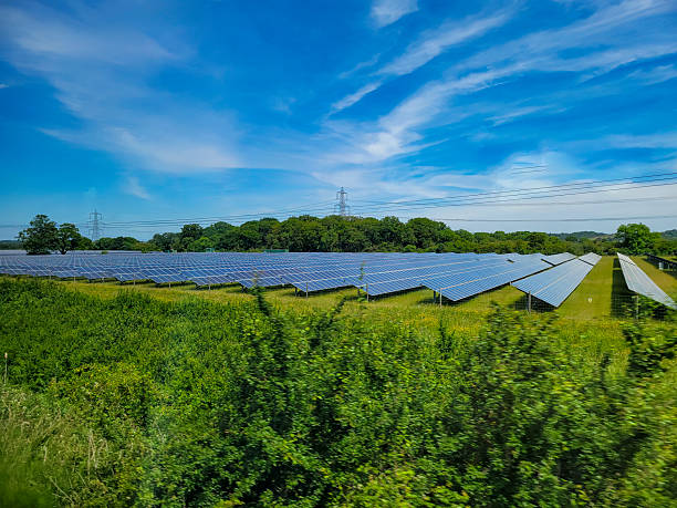 Rows of photovoltaic solar panels cover a grassy field in a rural outdoor setting, capturing sunlight under a clear blue sky with scattered white clouds. A wooden fence borders the edge, and tall power lines with a metal pylon stand nearby, connecting to the grid. The scene features lush green grass and wildflowers along the perimeter, emphasizing sustainable energy production. No people are present. This image suits commercial uses in articles on renewable energy, environmental conservation, and green technology for media outlets and authors covering climate change, solar power infrastructure, and eco-friendly farming practices.