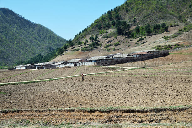 North Korea, Wanson region - May 3, 2019: Countryside scene, DPRK. Peasant cultivates an agricultural field, village on a mountains slope in background