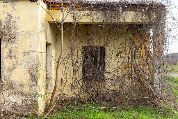 A decaying countryside house smothered by dry vegetation and wild vines, illustrating nature reclaiming man-made structures.