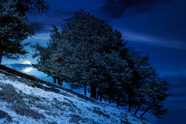 Moon of the night sky. long exposure of a clear night taken in the Vancouver WA.  Perfect background image for a nativity scene, or space and astronomy themed design.