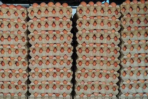 Stacks of fresh brown chicken eggs arranged in cardboard trays, stored in large quantities for distribution or retail sale.