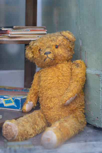 A worn vintage teddy bear sitting inside a shop window, surrounded by old books and faded interior details.