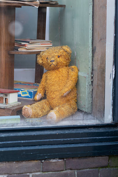A vintage teddy bear sitting in a shop window next to old books and worn interior elements, viewed through glass.