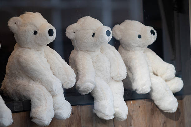 Three white teddy bears sitting side by side in a shop window, viewed through glass.