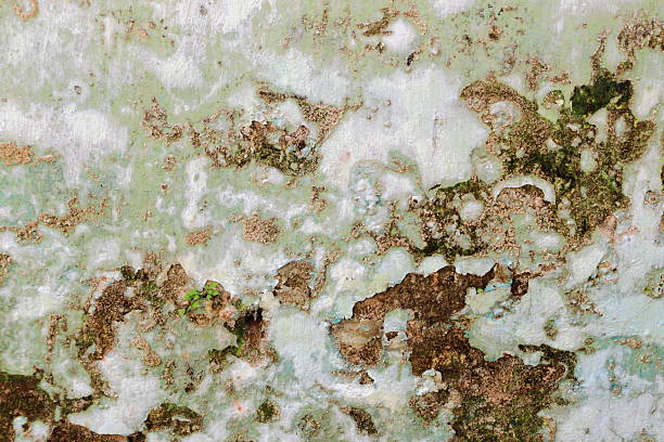 old cement rush the broke wall