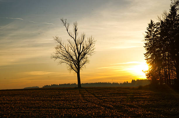 Pastel colors give this picture a special flair.