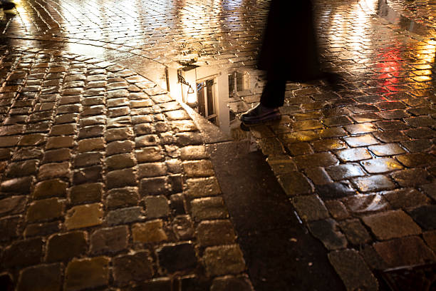 Wet cobblestone street in Brussels old town, soon after twilight