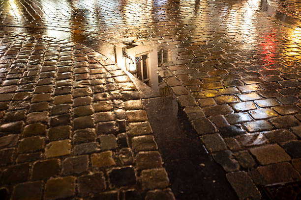 Wet cobblestone street in Brussels old town, soon after twilight
