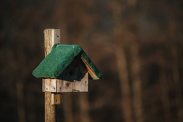 Old orange and white wooden birdhouse attached to an old shed.