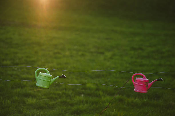 Plastic watering cans hanging. Garden / backyard decoration.