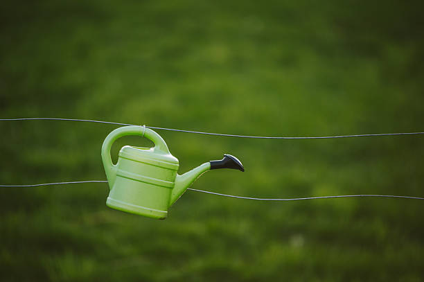 Plastic watering cans hanging. Garden / backyard decoration.
