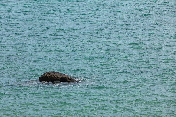 Minimal seascape showing a single rock emerging from calm turquoise ocean water. Simple composition with strong negative space, symbolizing solitude, resilience, isolation, stability, and calm nature. Ideal for conceptual, abstract, and background use.