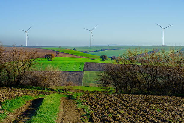 Wide rural landscape showing agricultural fields with wind turbines on the horizon. Image represents renewable energy, sustainability, and harmony between nature and modern technology.