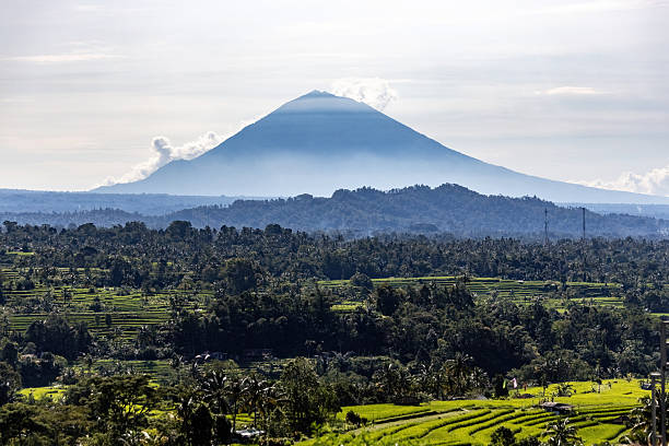 Agung volcano view surrounded by rice fields in Bali Indonesia