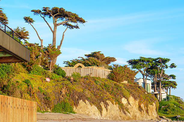 Beach and cliffs, Pebble Beach, Carmel, California.
