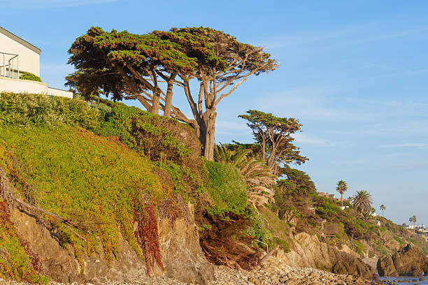 Rugged coastal bluff at El Matador State Beach in Malibu, California, presents vibrant vegetation, tall cypress trees, a modern house, and a clear blue sky.