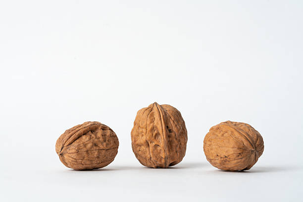walnut shells background