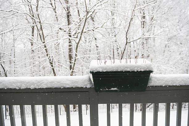 This is a photograph of porch railings by trees covered with snow on a winter day in Mahwah, New Jersey.