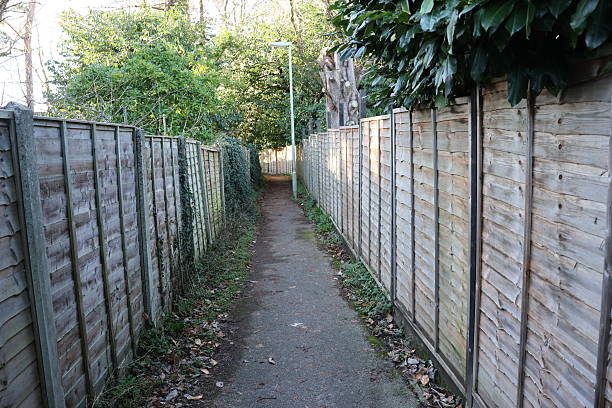 A path is lined with wooden fences and trees. The path is empty and the trees are green