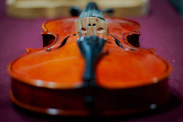 The Luthier is the manufacturer, tuner, or repairer of portable stringed musical instruments.