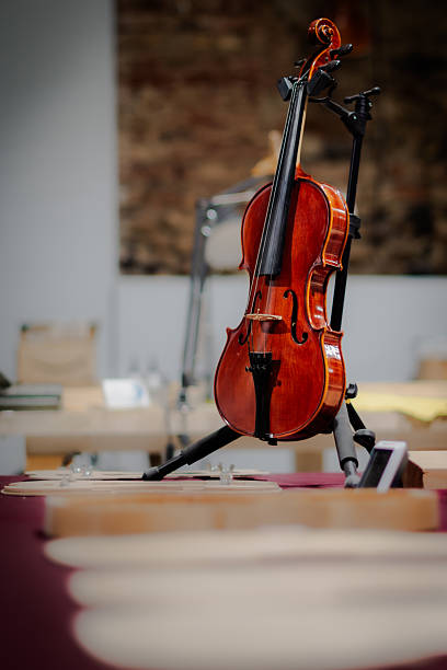 The Luthier is the manufacturer, tuner, or repairer of portable stringed musical instruments.