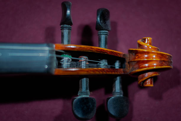 Beautiful Violin, string musical instrument, used for the interpretation of classical and modern music