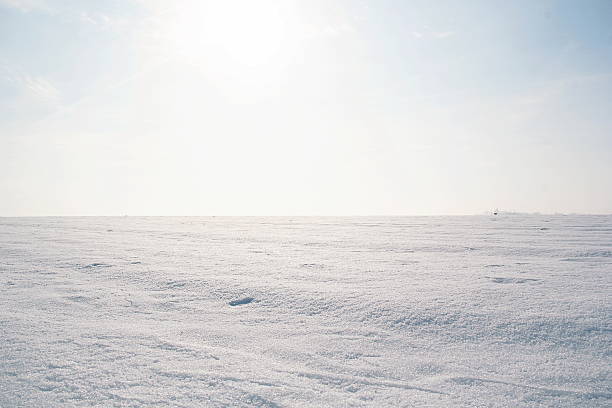 Frozen Sarobetsu wetland plains in winter, Hokkaido, Japan