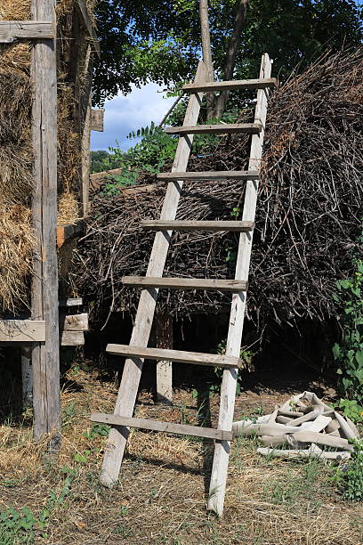 Color photograph of a simple wooden ladder leaning against a rustic rural structure surrounded by hay and branches. Countryside scene capturing traditional farm life, simplicity, and manual work in a natural environment.