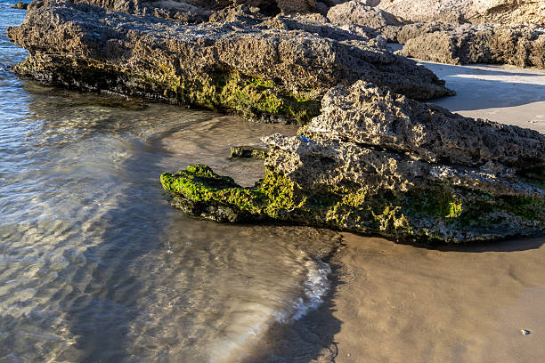 Natural rocky seashore with textured stone formations, green algae, shallow seawater and gentle waves at the coastline. Sunlit coastal landscape featuring eroded rocks, wet sand and marine textures, suitable for nature backgrounds, environmental concepts, travel visuals and coastal ecology themes.