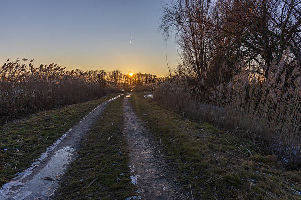 A wide-angle landscape shot of a muddy country road with frozen puddles, winding through tall dry reeds near a pond. The setting sun is positioned perfectly at the horizon, casting a warm golden glow across the clear sky and highlighting the textures of the path. This serene scene captures the peaceful and quiet atmosphere of a rural winter evening