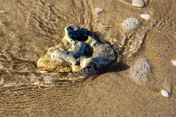 istock Single Stone on Wet Sand with Sea Water 2257633327