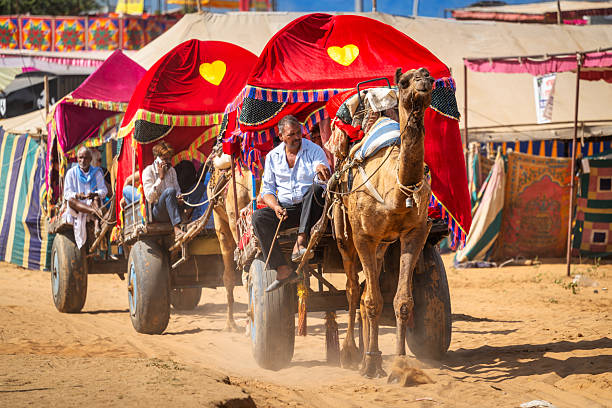 Camel ride with camel Lalu and his driver Paku in the Thar Desert near Khari in Rajastan.